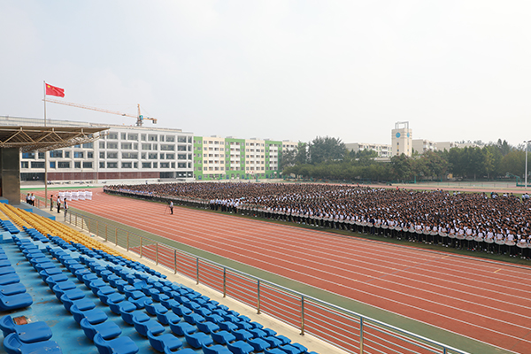 006.jpg