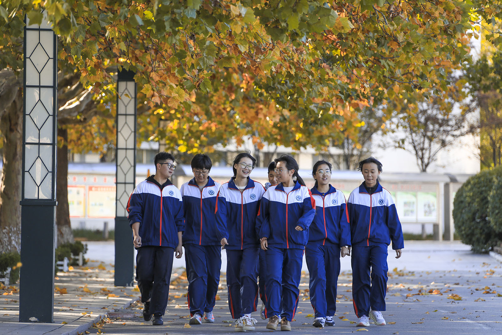 榜样学子